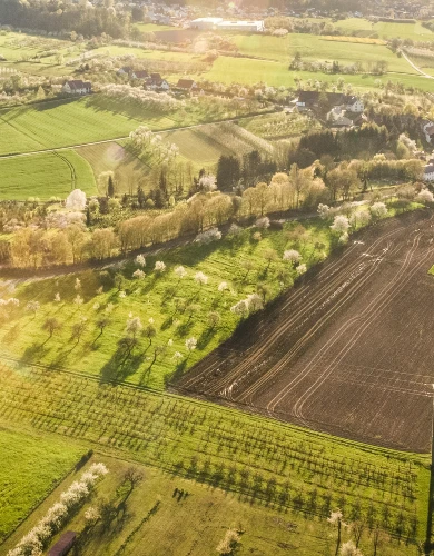 Rural landscape